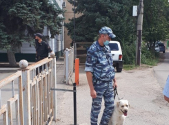 В Волгограде в пяти судах искали взрывчатку