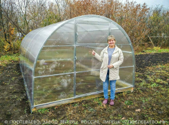 Урожай начинается с осени — успей на распродажу теплиц от «Поспеваево»