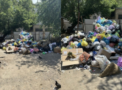 Вывоз мусора по заявкам возмутил жителей Волгограда