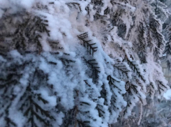 Женщину нашли замерзшей насмерть в ее доме под Новониколаевском 