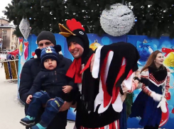 Волгоградцы увидели «Новогодние чудеса в лесном царстве»