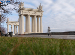 Юг России разогреется до апрельских значений в январе: чего ждать волгоградцам