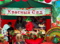 «Некоторые дети плакали»: без угощения оставили гостей участники разочаровавшего волгоградского фестиваля помидоров