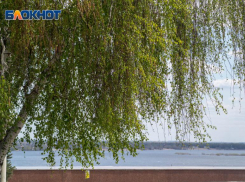 Кратковременный дождь и +18: погода на 27 апреля в Волгоградской области