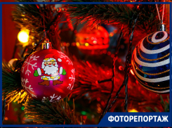 Известные волгоградцы похвалились нарядными елками