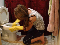 Пенсионный фонд  требует четыре раза в день чистить ершиками унитазы в их офисах в Волгограде