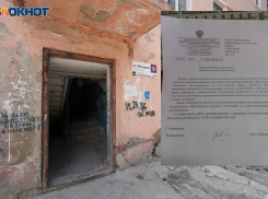 Ольга Зубарева призывает расклеивать листовки на подъездах в Волгограде 