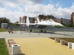 Парк на радость противникам ёлок и сосен благоустроят за 93 миллиона в Волгограде