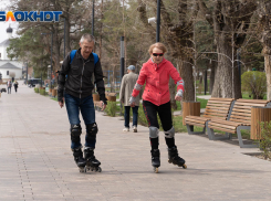Волгоградцев сегодня порадует ясная и теплая погода