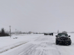 Под Волгоградом иномарка в снегопад насмерть задавила женщину на обочине 