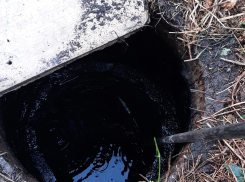 В Волгограде готовятся к холере из-за фекалий в питьевой воде