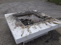 Волгоградец с собакой разрушил клумбу на западе Волгограда