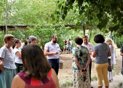 В Волгограде кандидаты в гордуму внезапно узнали о желании людей жить в ухоженных дворах