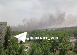 "Их каждый год жгут!": столб черного дыма напугал волгоградцев 