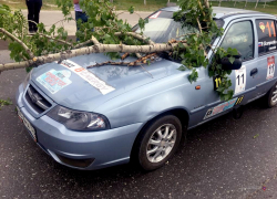 Ветка пробила лобовое стекло учебного авто и ранила лицо девушки-водителя в Волгограде