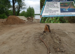 «Ради яхт-клуба засыпают берег и уничтожают деревья»: что происходит в Волго-Ахтубинской пойме