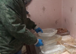 Сотрудник отдела по борьбе с наркотиками открыл мини-завод по производству мефедрона под Волгоградом 