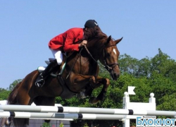 В Волгограде прошли соревнования по конному спорту