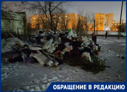 "Опять мусорный коллапс?": праздничные отходы неделю не вывозят в Волгограде