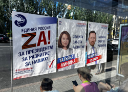 Агитацию «по-свински» затеяла «Единая Россия» в Волгограде