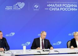 Сопредседатели ВАРМСУ Ирина Гусева и Руслан Кухарук встретились с президентом России 