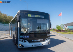 Более 60 млн рублей освоят в Волгограде на перевозках общественным транспортом