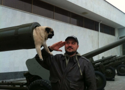 Волгоградского художника ранили за просьбу не справлять нужду на улице 9 мая