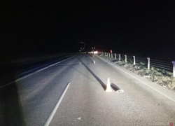 Девушка погибла на месте аварии в Волгоградской области