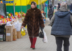 Цветочные ярмарки открываются в Волгограде к Восьмому марта: полный список адресов 