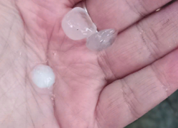 В Волгоградской области гигантский град уничтожил урожай