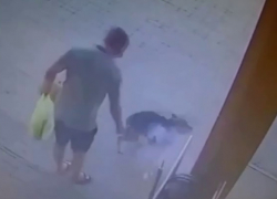 Мужчина в упор выстрелил в морду собаки — видео 