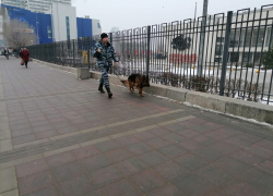 Центр Волгограда чистят со швабрами и обследуют с собаками к приезду Путина