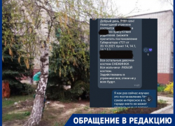 QR-код не понадобится: привитых родителей не пускают на утренники в детские сады Волгограда