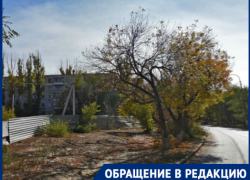 В Волгограде с полицией ищут собственницу квартиры, из-за которой весь подъезд неделю сидит без воды