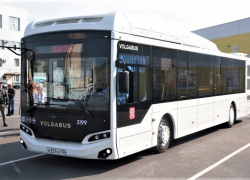 Производитель автобусов VolgaBus оказался в шаге от банкротства 