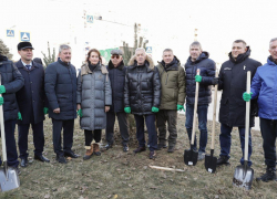 Ни пылинки на ботинках, лопаты с этикетками: волгоградские ВИПы ради пиара выехали на посадку сосен