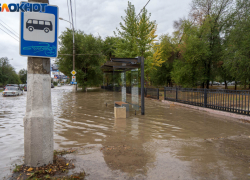 С 10 апреля в Волгограде запустят 12 дачных автобусов