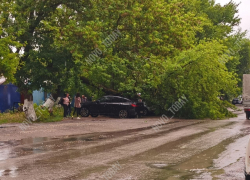 Огромное дерево рухнуло на машины в Волгоградской области: падение попало на видео