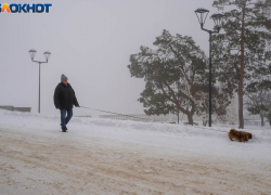 Очень высокое давление и мороз: погода в Волгограде на 24 февраля