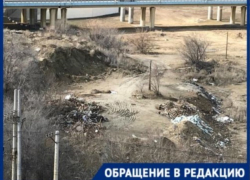 Все великолепие у нас вырубают, - житель Центрального района Волгограда