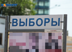 Волгоградский воспитатель рассказала об изнанке праймериз: устали от принудиловки