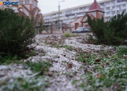 Нулевая температура и геомагнитная буря: синоптики о погоде в Волгограде на 18 декабря 