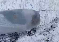 Несколько неопознанных объектов прилетели в волгоградские поля