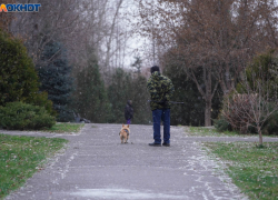 Туман и снегодождь ждут волгоградцев 6 января 