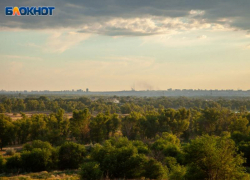 Десять лет тюрьмы грозит 17-летнему волгоградцу за поджог леса