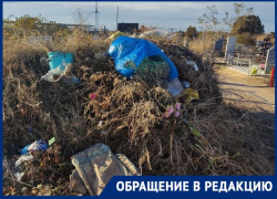 Ветки, куски ограды и сломанные кресты: мусором завалили кладбище под Волгоградом 