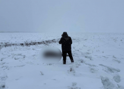 Тело подростка в 200 км от дома нашли у границы Волгоградской области