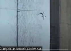 Опубликовано видео браконьерской ловли рыбы с Волжской ГЭС