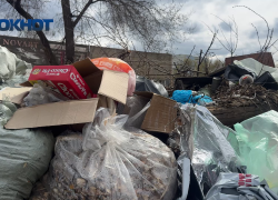 Сами виноваты! Контейнерные площадки Волгограда накрывает варварский сброс отходов.