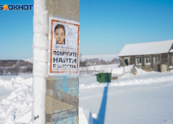 СК проигнорировал обращение видевших в Волгограде девочку, похожую на исчезнувшую в Чухонастовке 